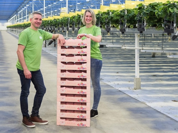 Aardbeien van Kwekerij Loos