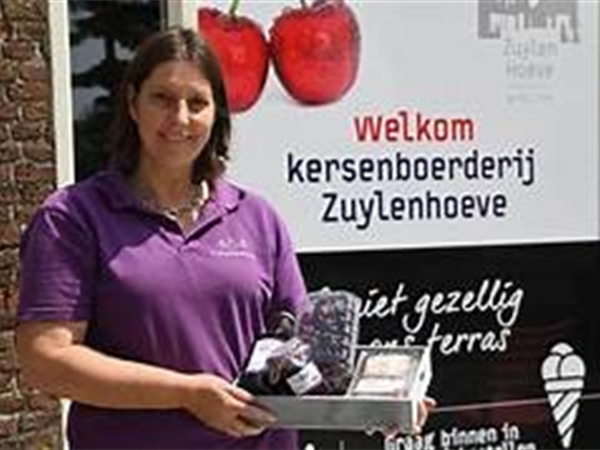 Kersen van de Zuylenhoeve